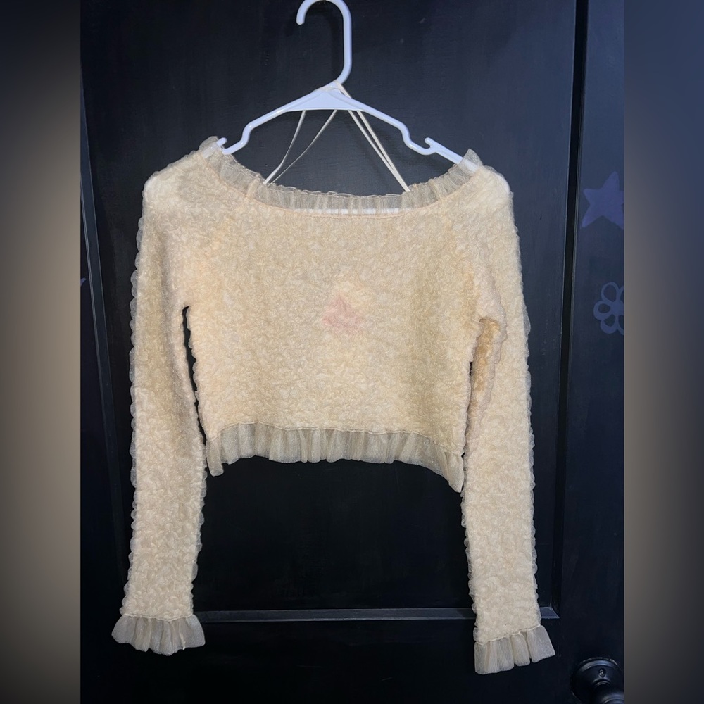 Zara sheer tulle blouse